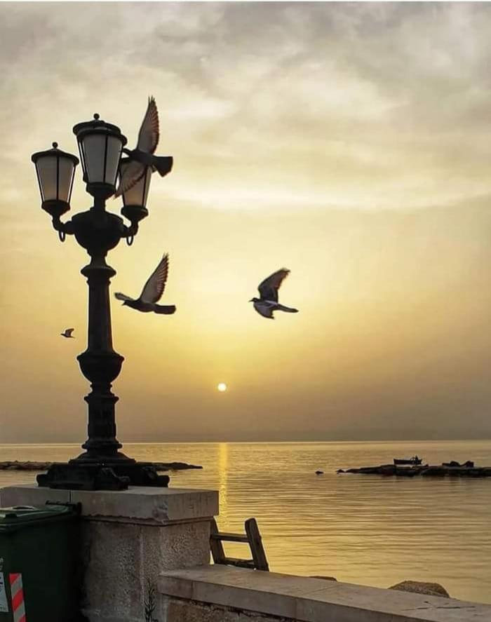 Il Viandante